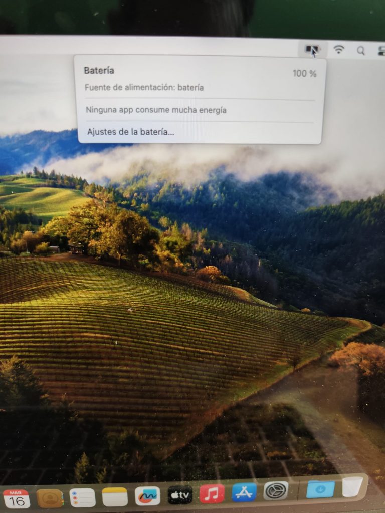 Comprobación del sistema en macOS mostrando la nueva batería al 100% de carga y funcionando correctamente.