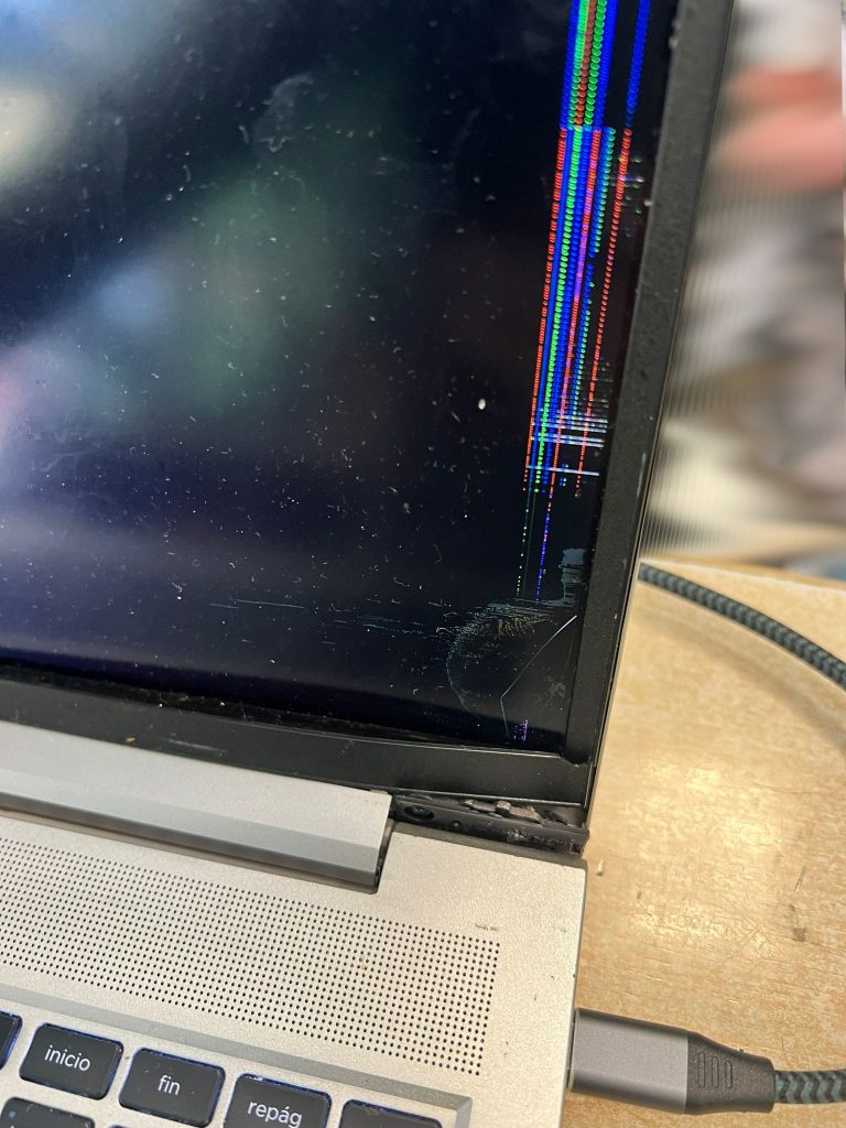 Pantalla de HP ProBook 450 G8 con rotura interna y líneas de colores por impacto.