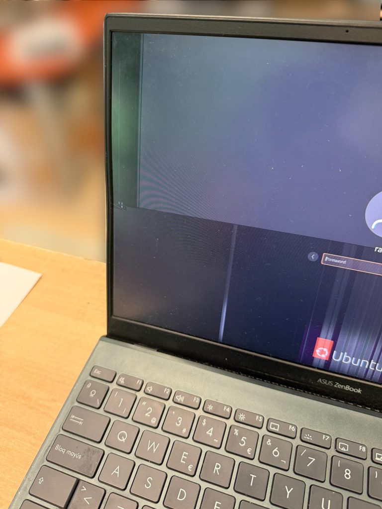 Pantalla de Asus ZenBook 14 con fallas de líneas verticales y manchas negras por daño físico.